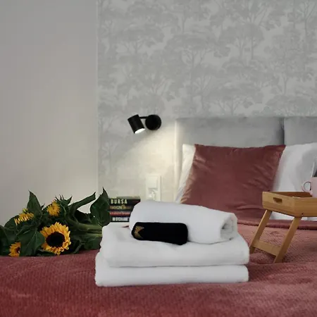Luna Apartment
